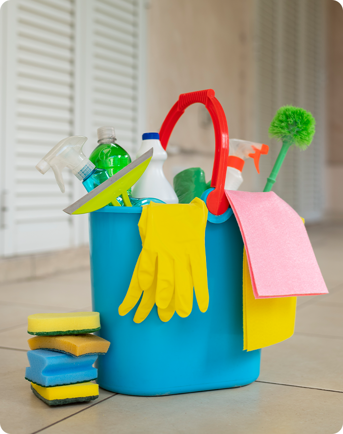 Cleaning supplies featured on Cohesive’s original website